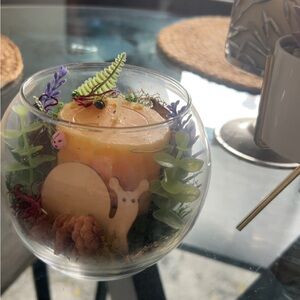 Decorative Glass Terrarium Candle